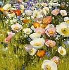 Shirley Novak Canvas Paintings - Sunny Meadow